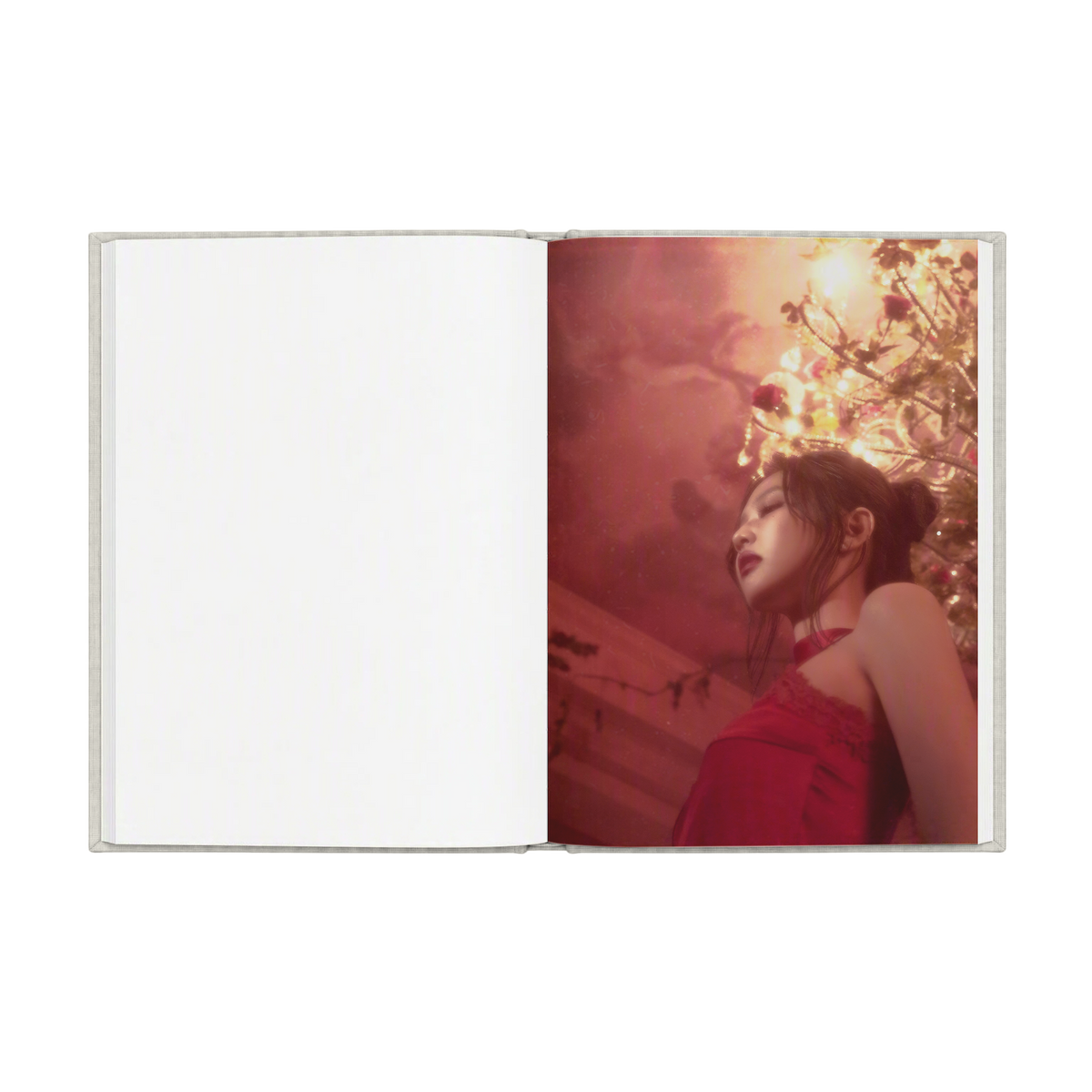 Fallen Angel Notebook