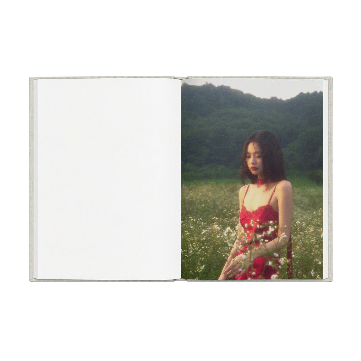 Fallen Angel Notebook