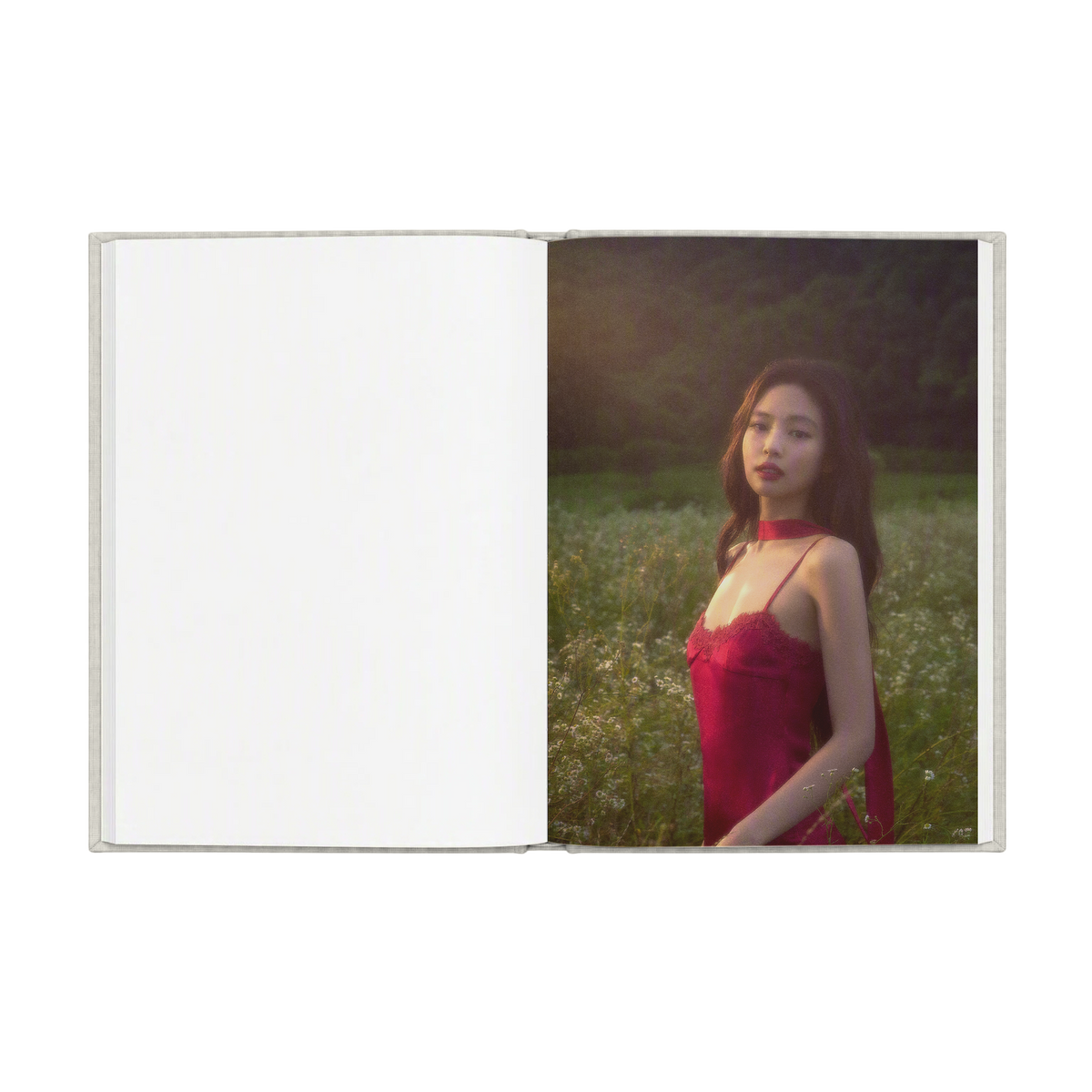 Fallen Angel Notebook