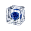 Fallen Angel Ice Cube Squishy